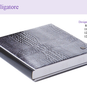 Alligatore