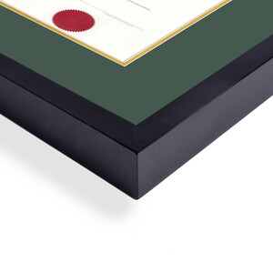 Diploma Frame University/College with GREEN MATTE